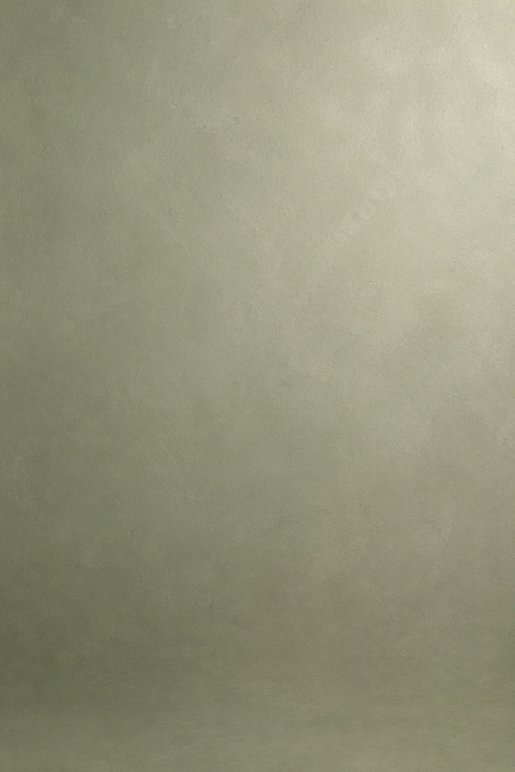 Soft Sage Pet Photography Backdrop