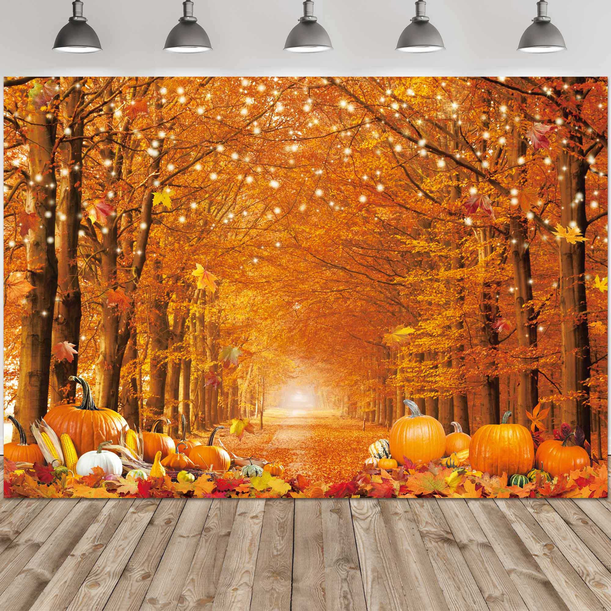 Fall Autumn Photo Backdrop for Photography Autumn Forest Scenery Background