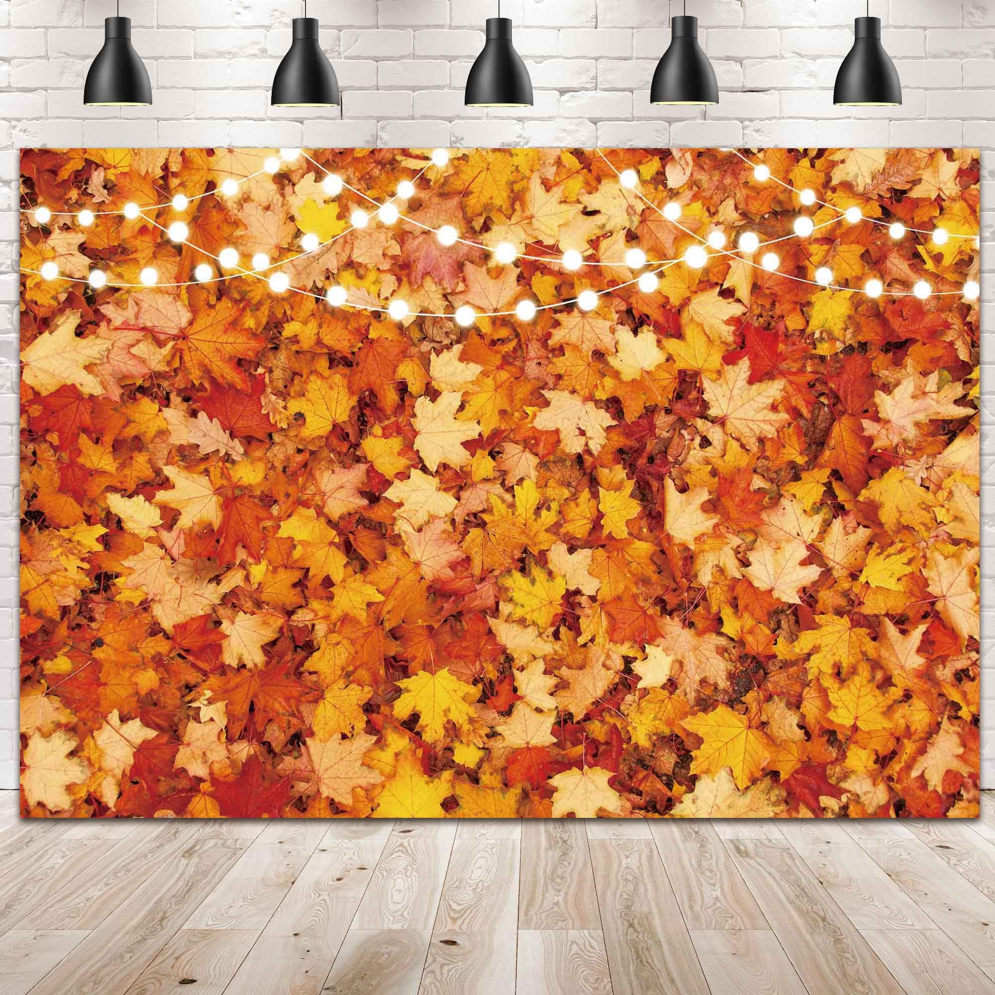 Fall Autumn Photo Backdrop for Photography Autumn Background